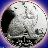 ... YORK-ALLEY-CAT-1-Oz-999-Silver-Proof-Coin
